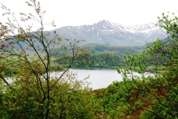 This photo of Lake Ertso in the Dzauski Region of South Ossetia is used courtesy of osetia.kvaisa.ru
and the Creative Commons Attribution ShareAlike 3.0 License. (http://commons.wikimedia.org/wiki/File:%D0%AD%D1%80%D1%86%D0%BE.jpg)